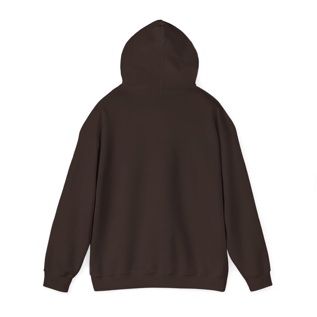 Funny Introvert Hoodie, Sarcastic Gift for Introverts, Birthday and Christmas Gift
