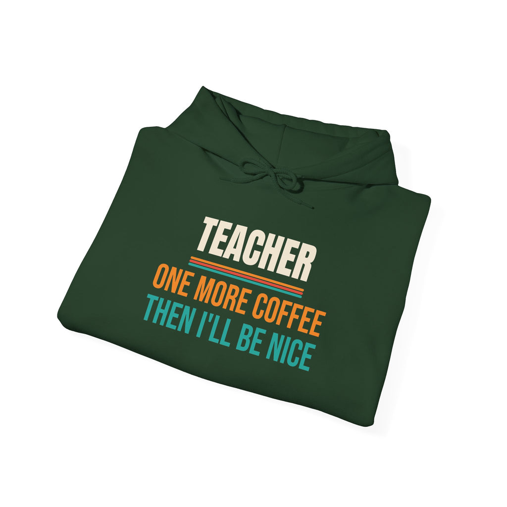 Funny Teacher Hoodie, Teacher Appreciation Gift, Back to School and Christmas Gift