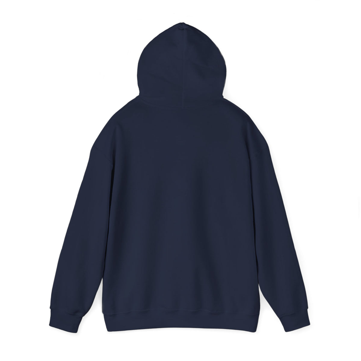 Funny Introvert Hoodie, Sarcastic Gift for Introverts, Birthday and Christmas Gift