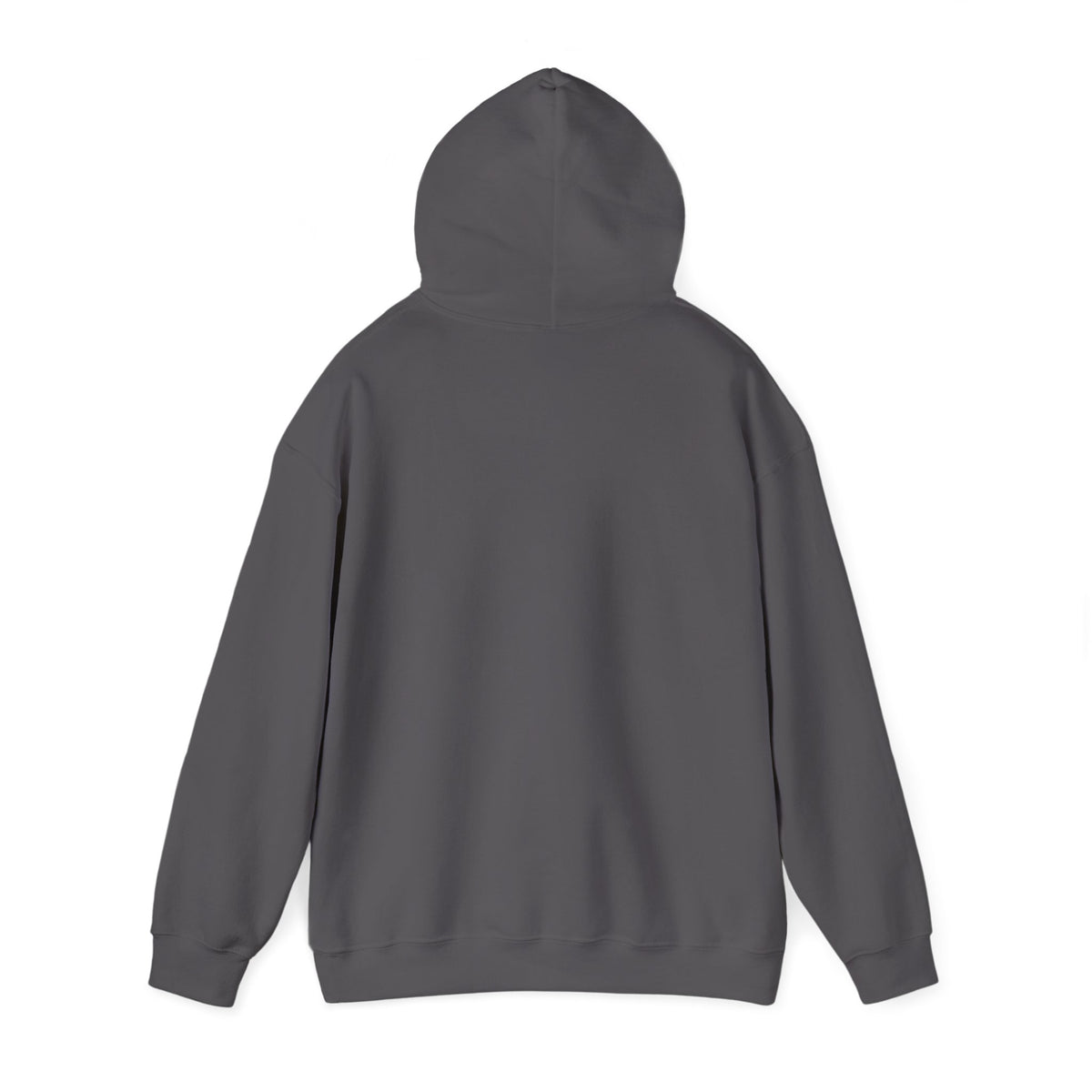 Funny Sarcastic Hoodie, Sarcasm Gift for Men and Women, Birthday and Christmas Gift