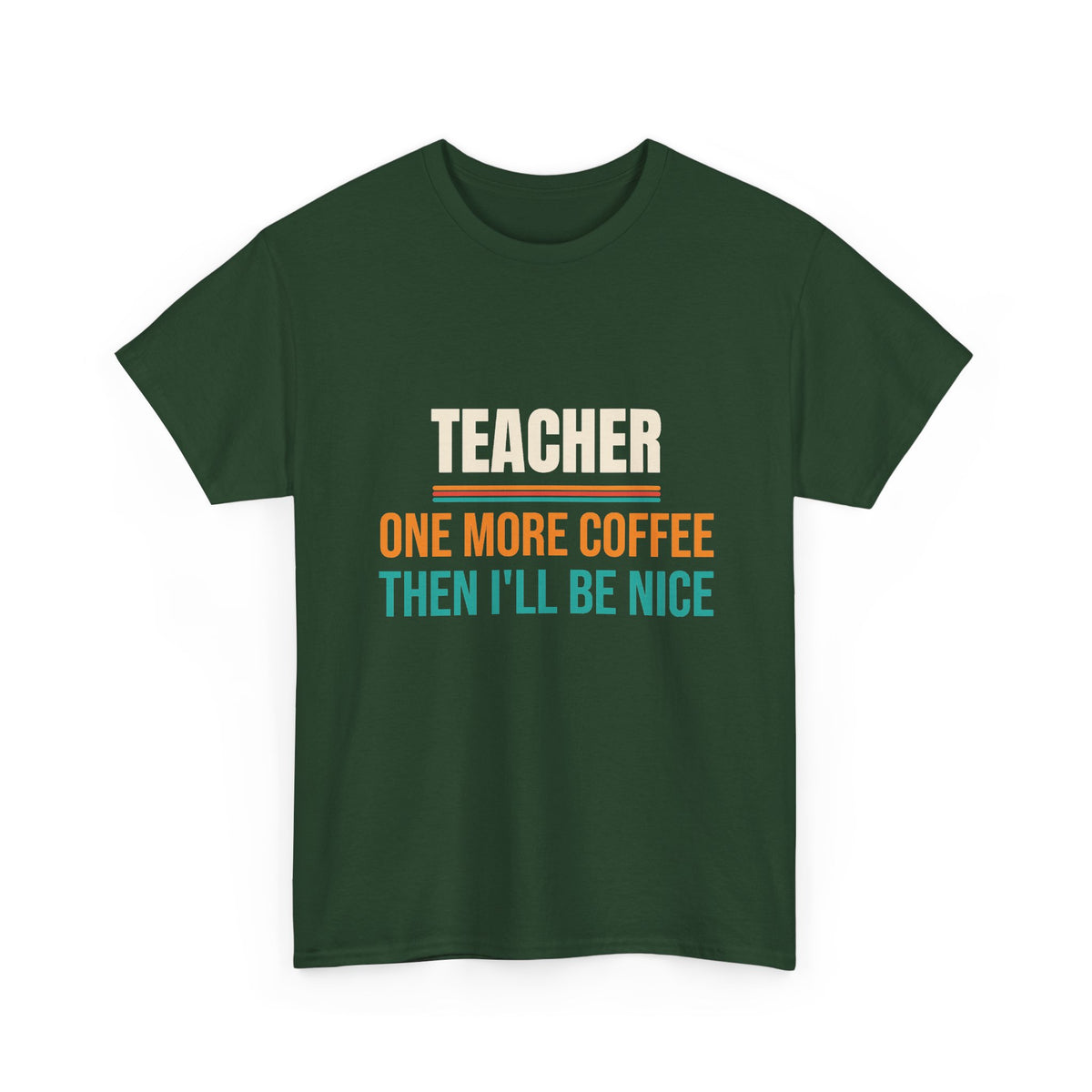 Funny Teacher T-Shirt, Teacher Appreciation Gift, Back to School and Christmas Gift