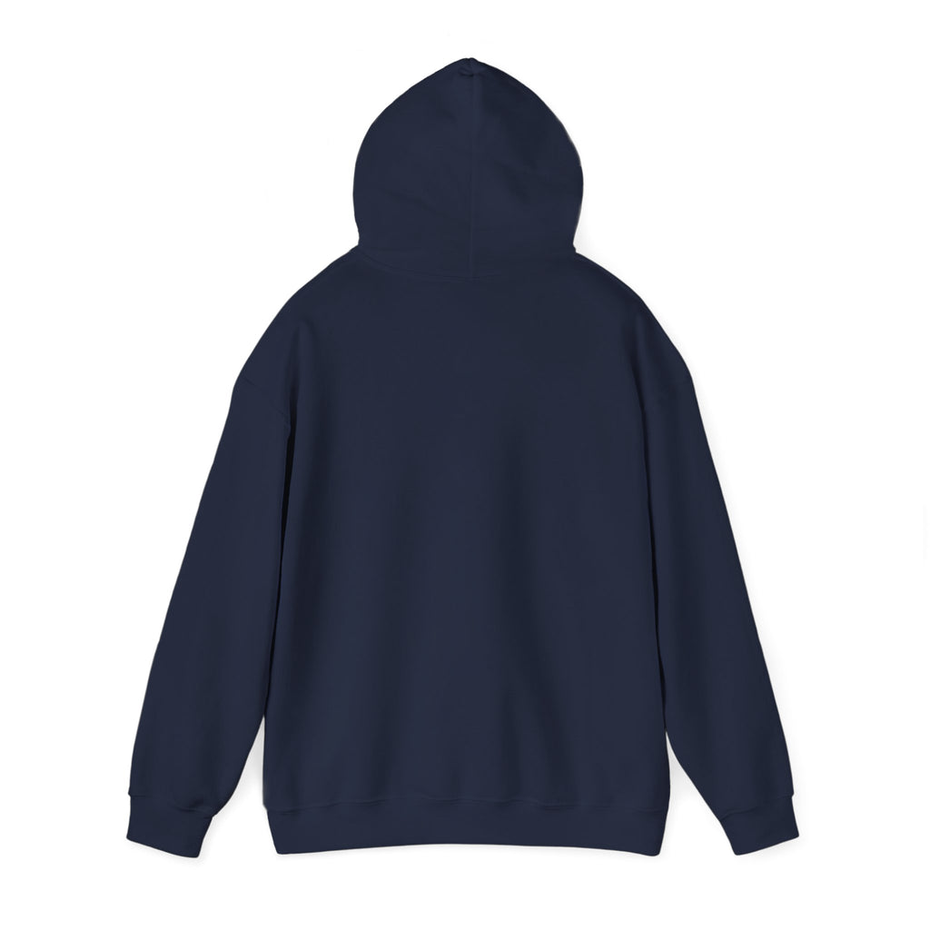 Funny Teacher Hoodie, Teacher Appreciation Gift, Back to School and Christmas Gift