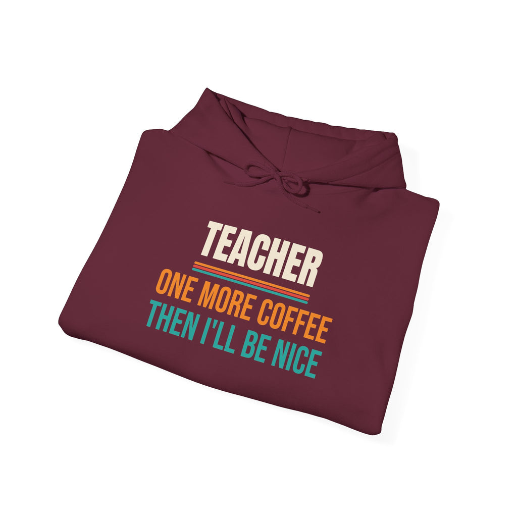 Funny Teacher Hoodie, Teacher Appreciation Gift, Back to School and Christmas Gift