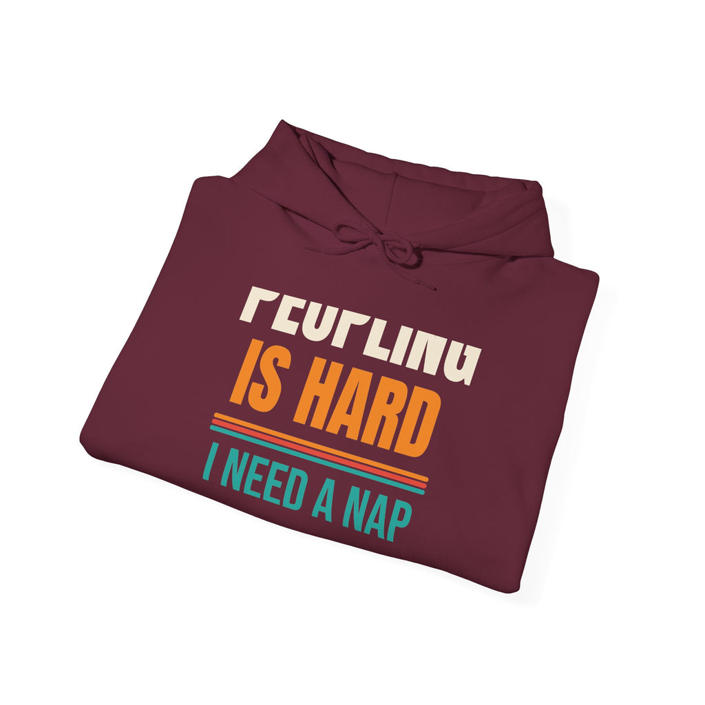 Funny Introvert Hoodie, Sarcastic Gift for Introverts, Birthday and Christmas Gift