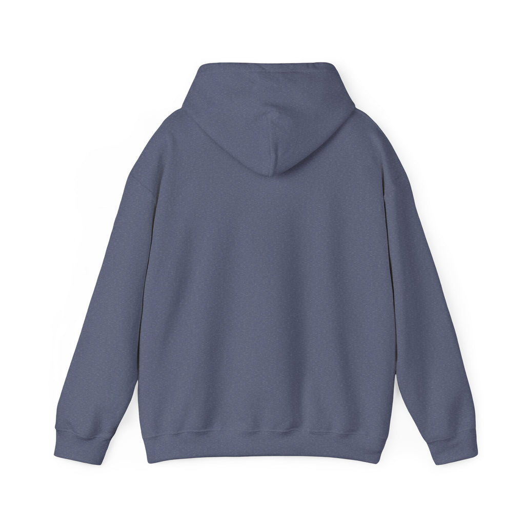 Funny Sarcastic Hoodie, Sarcasm Gift for Men and Women, Birthday and Christmas Gift