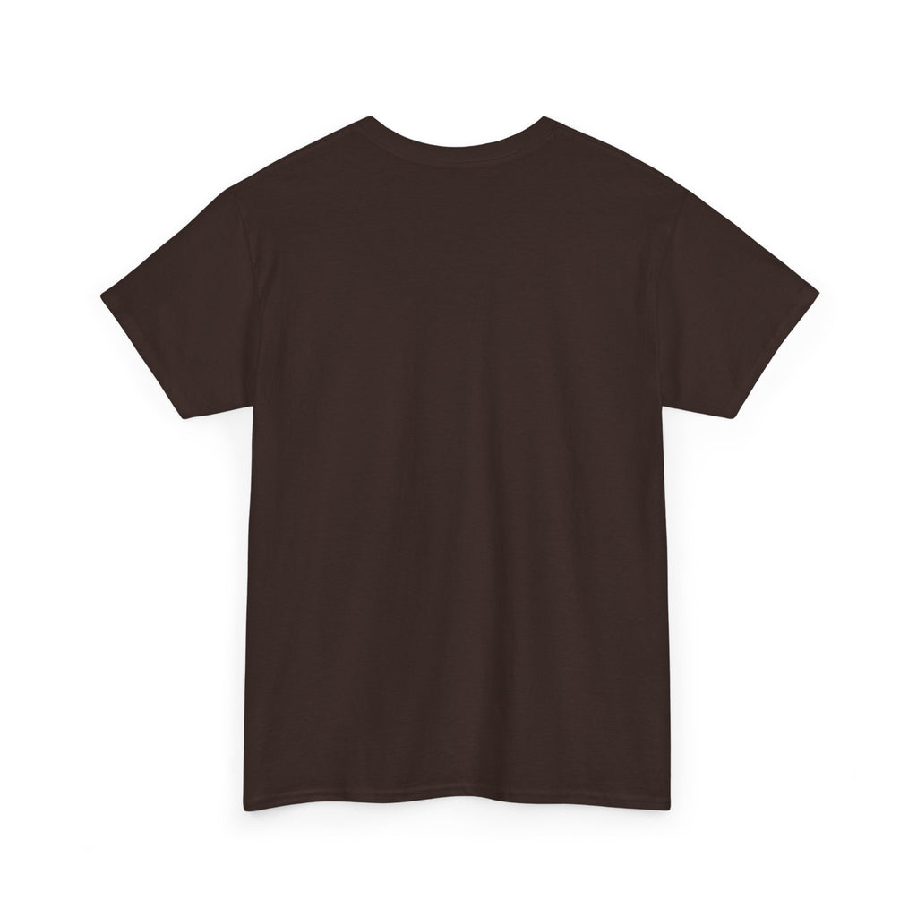 Funny Sarcastic T-Shirt, Sarcasm Gift for Men and Women, Birthday and Christmas Gift