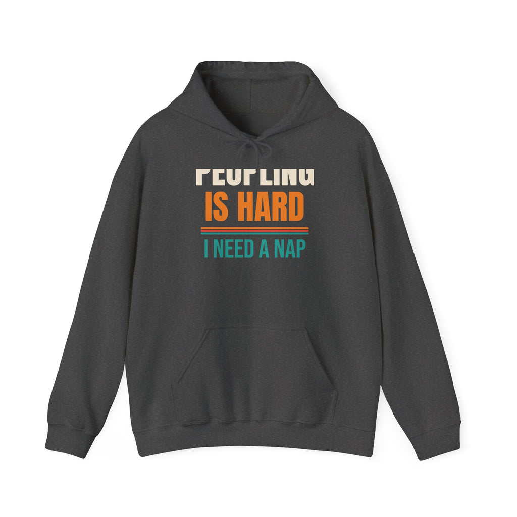 Funny Introvert Hoodie, Sarcastic Gift for Introverts, Birthday and Christmas Gift