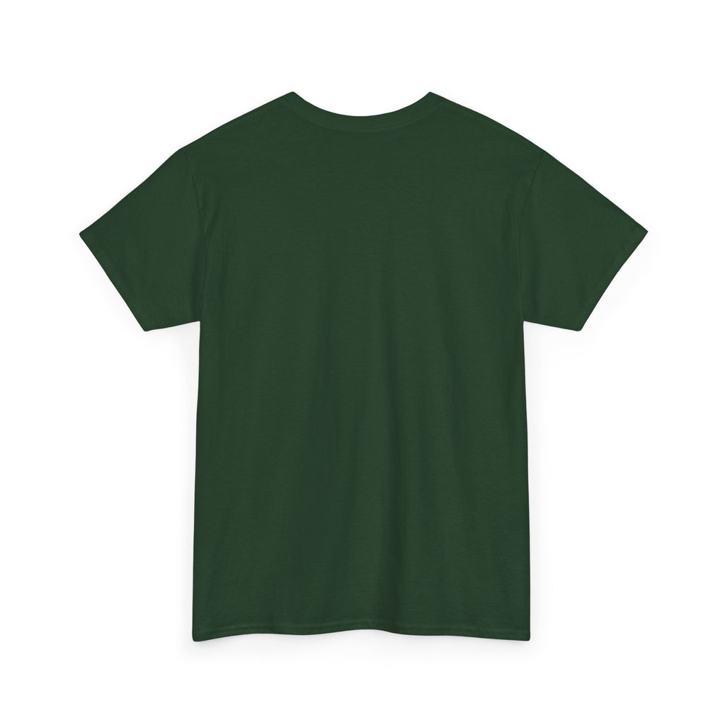 Funny Sarcastic T-Shirt, Sarcasm Gift for Men and Women, Birthday and Christmas Gift