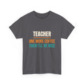 Funny Teacher T-Shirt, Teacher Appreciation Gift, Back to School and Christmas Gift