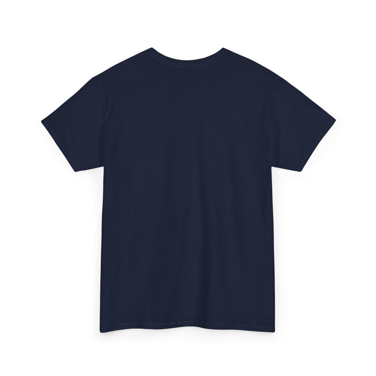 Funny Camping T-Shirt, Camper Gift for Men and Women, Camping Trips, Birthday and Christmas Gift