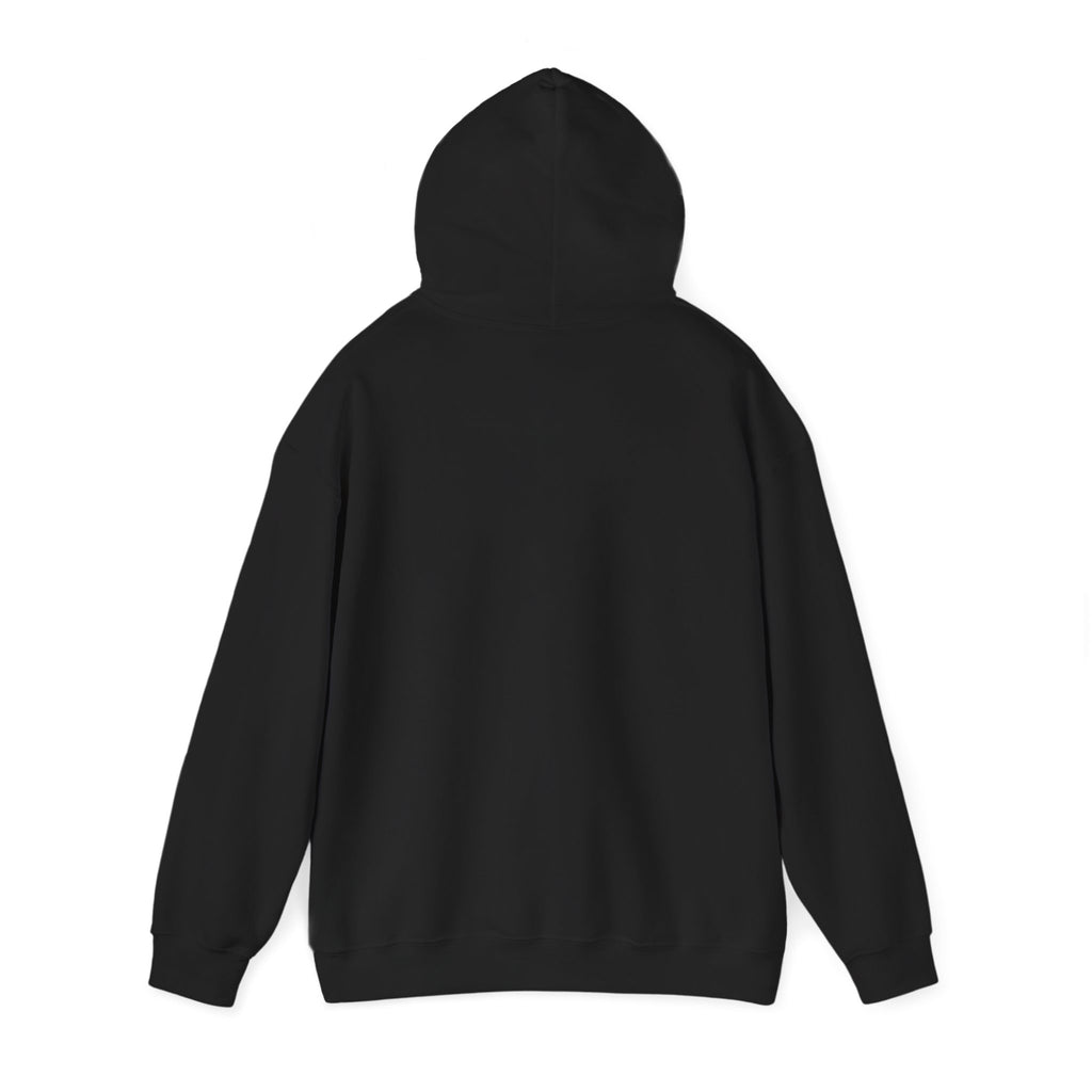 Funny Fishing Hoodie, Fisherman Gift for Men, Father's Day, Birthday and Christmas Gift