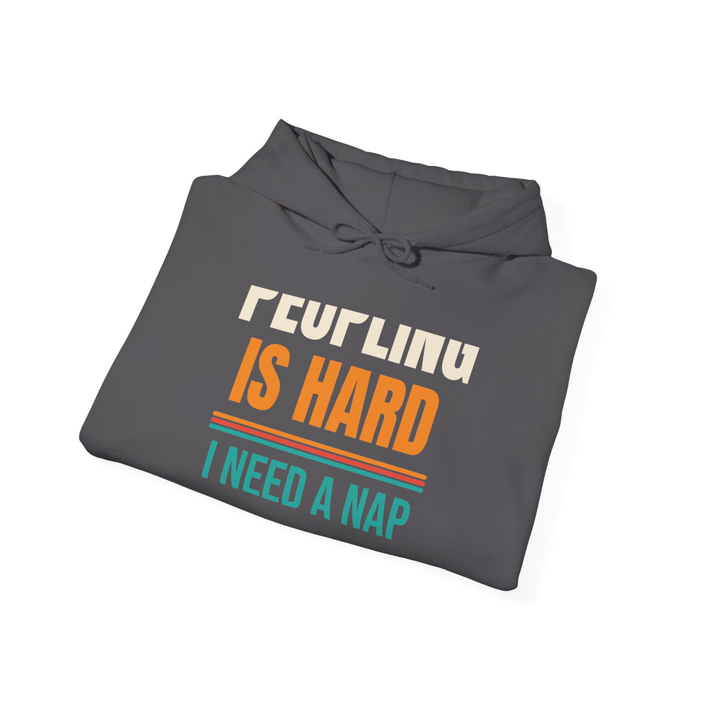 Funny Introvert Hoodie, Sarcastic Gift for Introverts, Birthday and Christmas Gift