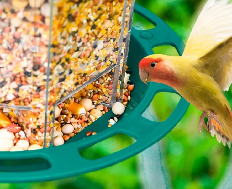 Automatic Bird Feeder view 2
