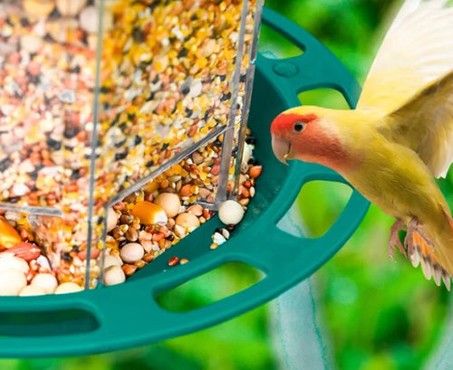 Automatic Bird Feeder view 2