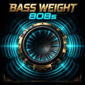 Bass Weight 808s